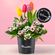 mini-arreglo-tulipanes-welcome
