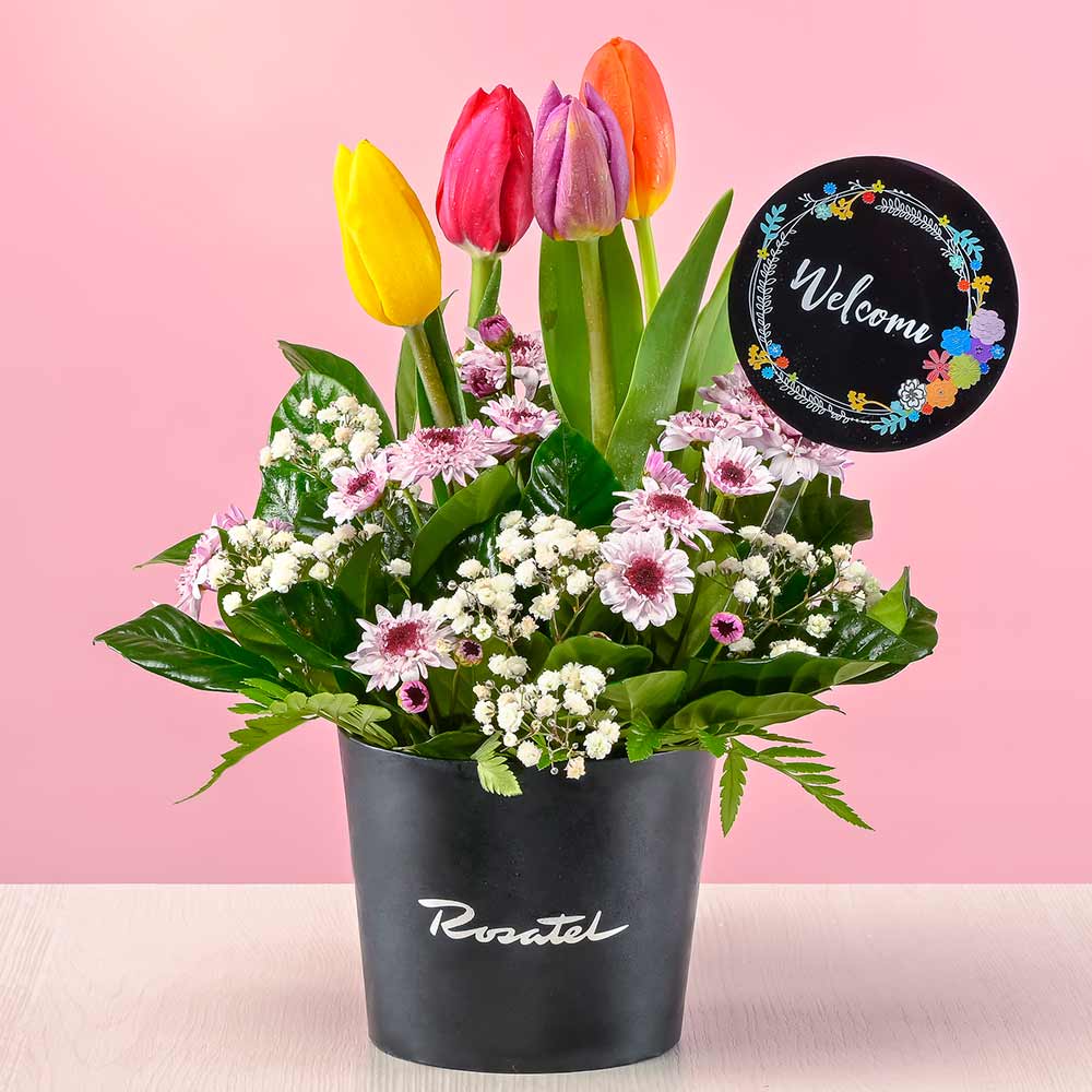 Mini Arreglo Tulipanes Welcome