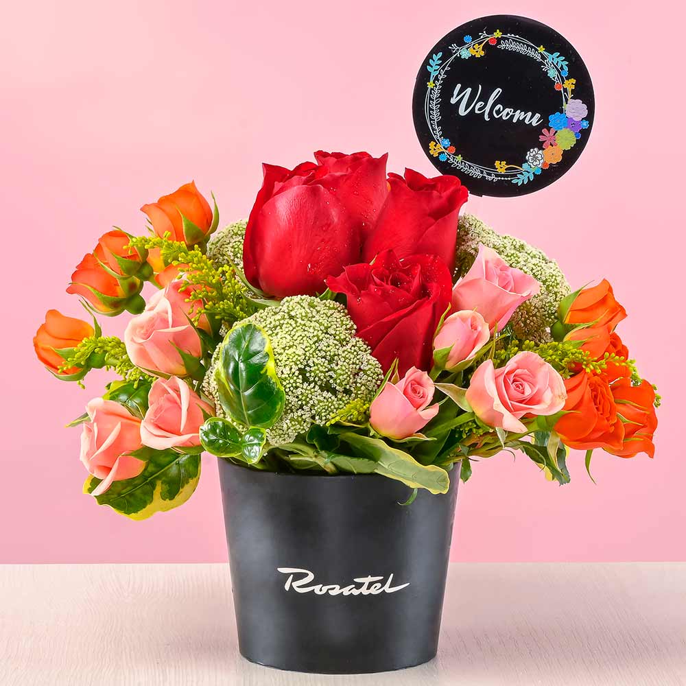 Mini Arreglo Susurro de Rosas Welcome