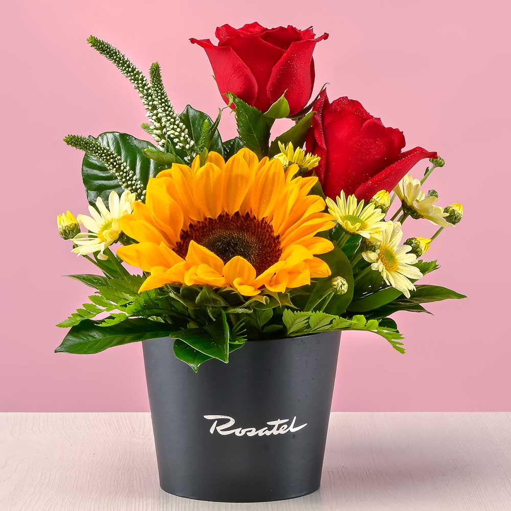Mini Arreglo Rosas y Girasol
