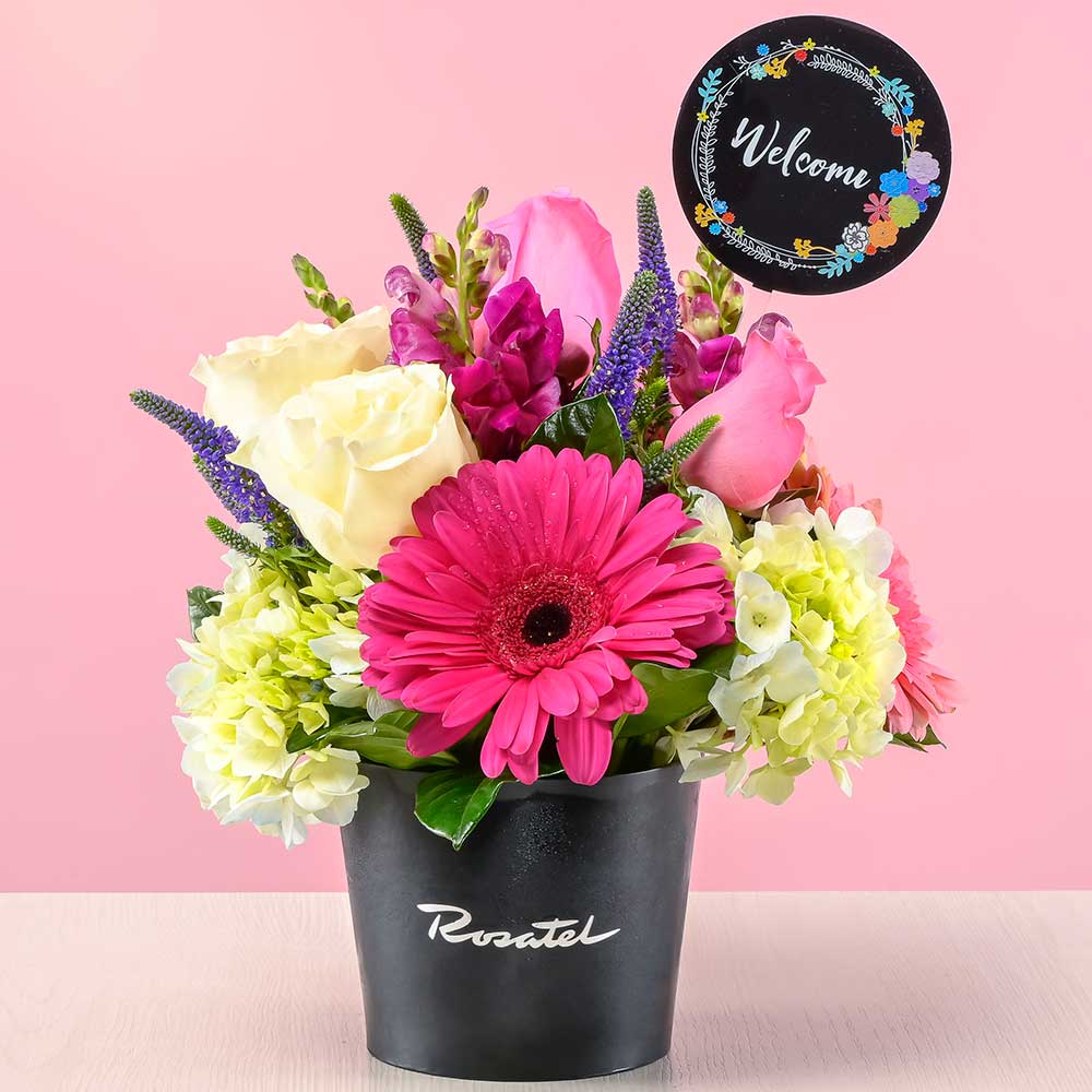Mini Arreglo Encanto Floral Welcome
