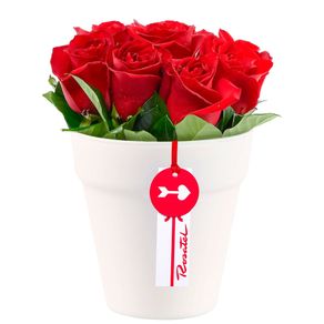 arreglo-rosas-rojas-de-amor