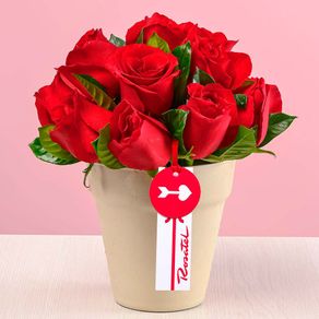 arreglo-matera-con-rosas-rojas