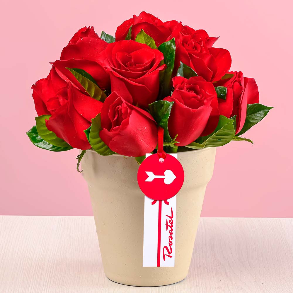 Arreglo Matera con Rosas Rojas