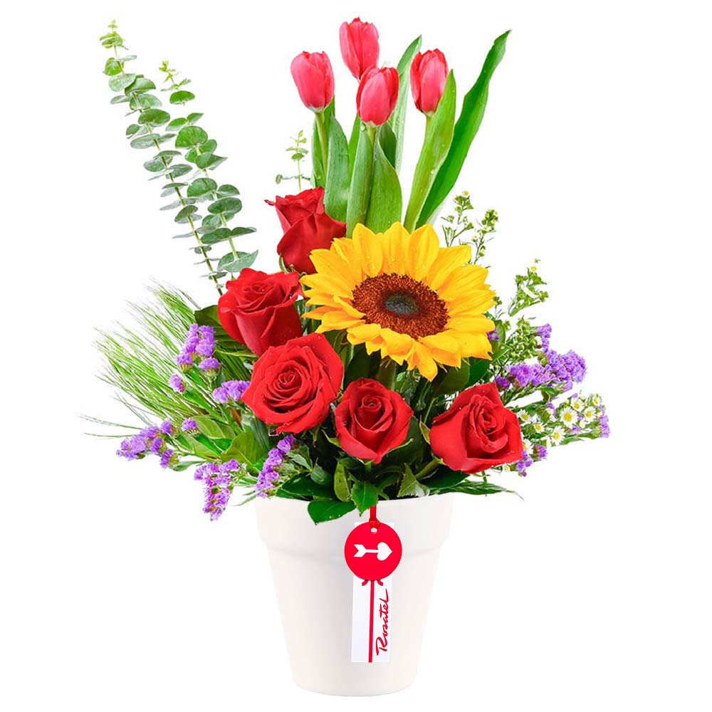 Arreglo Elegancia Floral