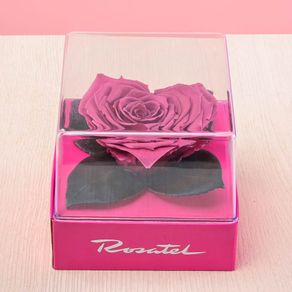 rosa-preservada-corazon-violeta-en-cubo