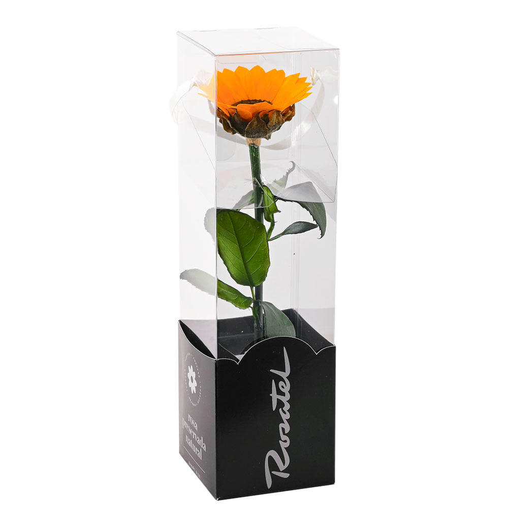 Girasol Preservado en Caja