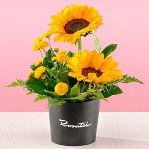 mini-arreglo-girasoles-y-pompos-rosatel