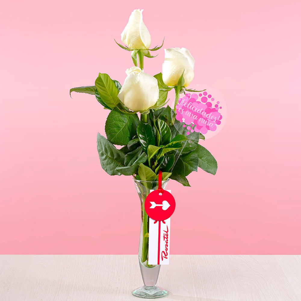 Arreglo Armonía Bebé Niña