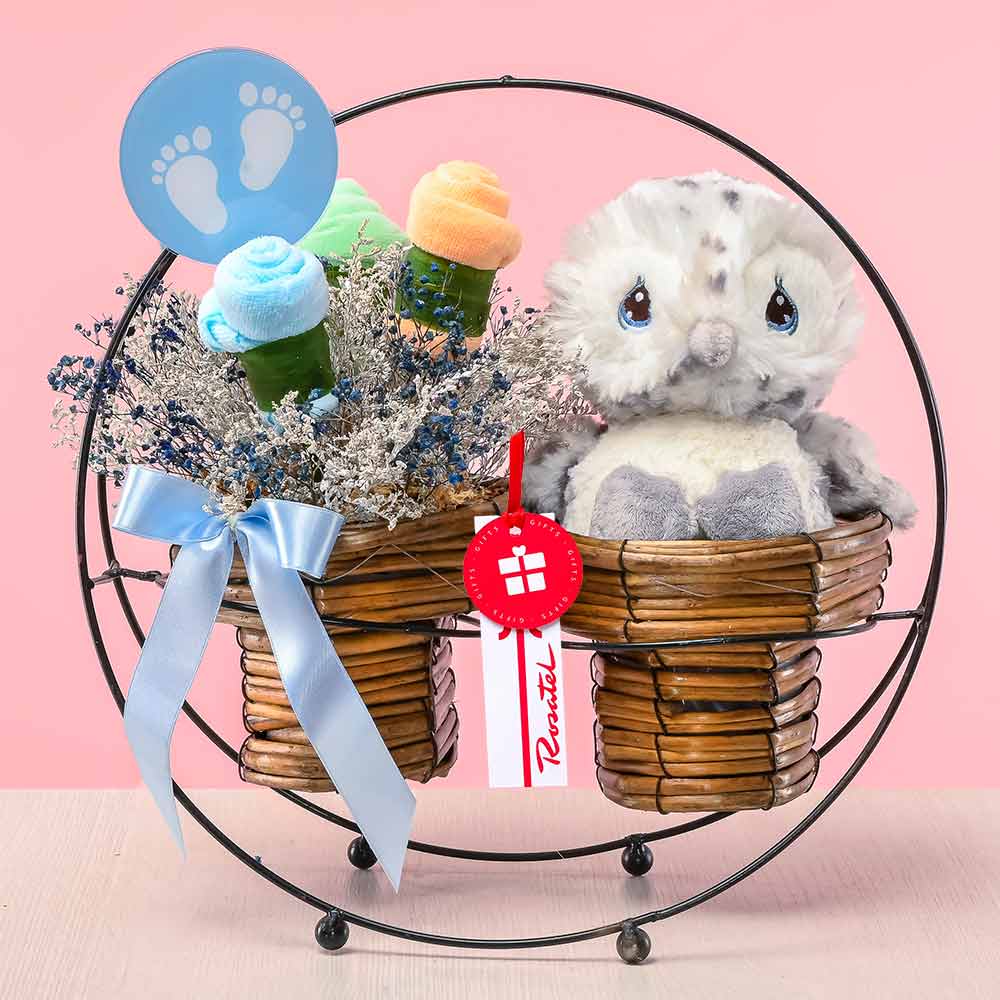 Arreglo Búho Bienvenido Bebé