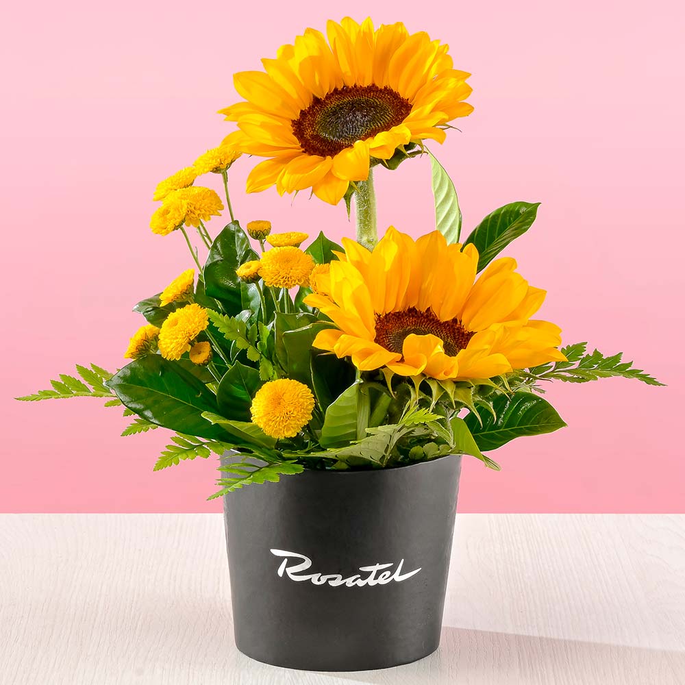 Mini Arreglo Girasoles y Pompos