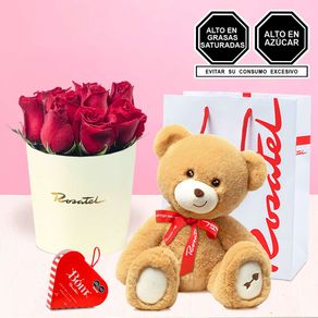 arreglo-con-rosas-peluche-hugo-y-mini-chocolates-bom-rosatel