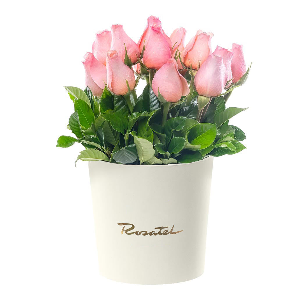 Sombrerera Crema Grande con 15 Rosas