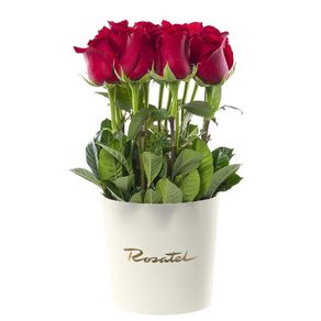 Sombrerera Crema Mediana con 15 Rosas