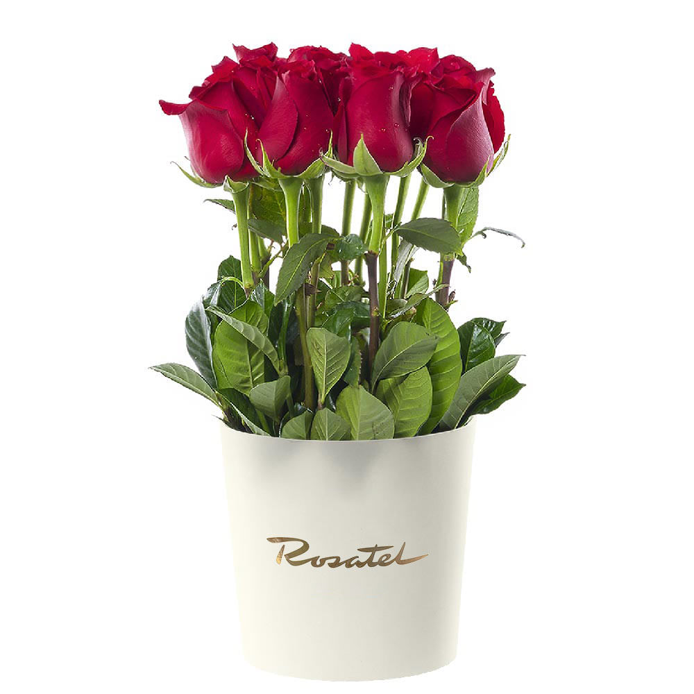 Sombrerera Crema Mediana con 15 Rosas