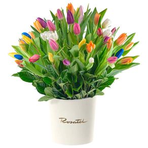 Sombrerera Crema Grande con 60 Tulipanes