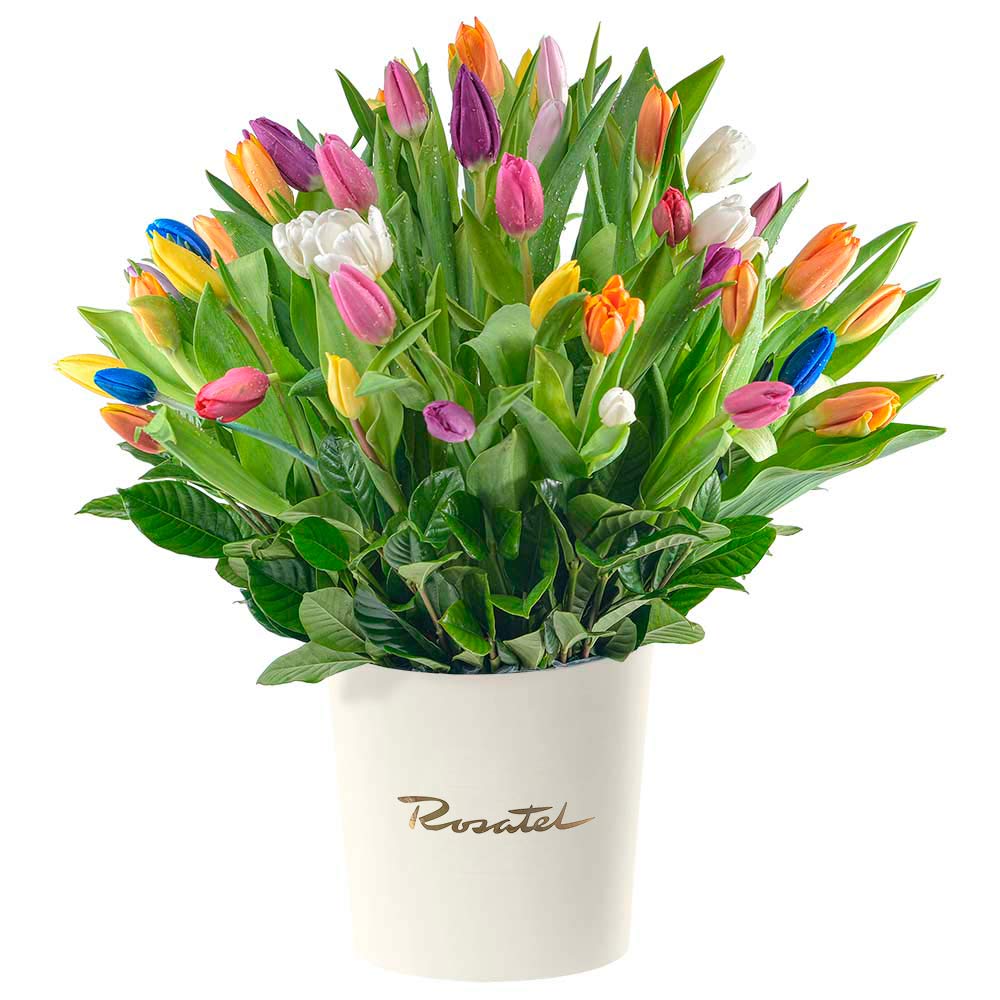 Sombrerera Crema Grande con 60 Tulipanes