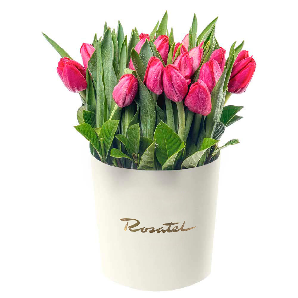 Sombrerera Crema Mediana con 24 Tulipanes