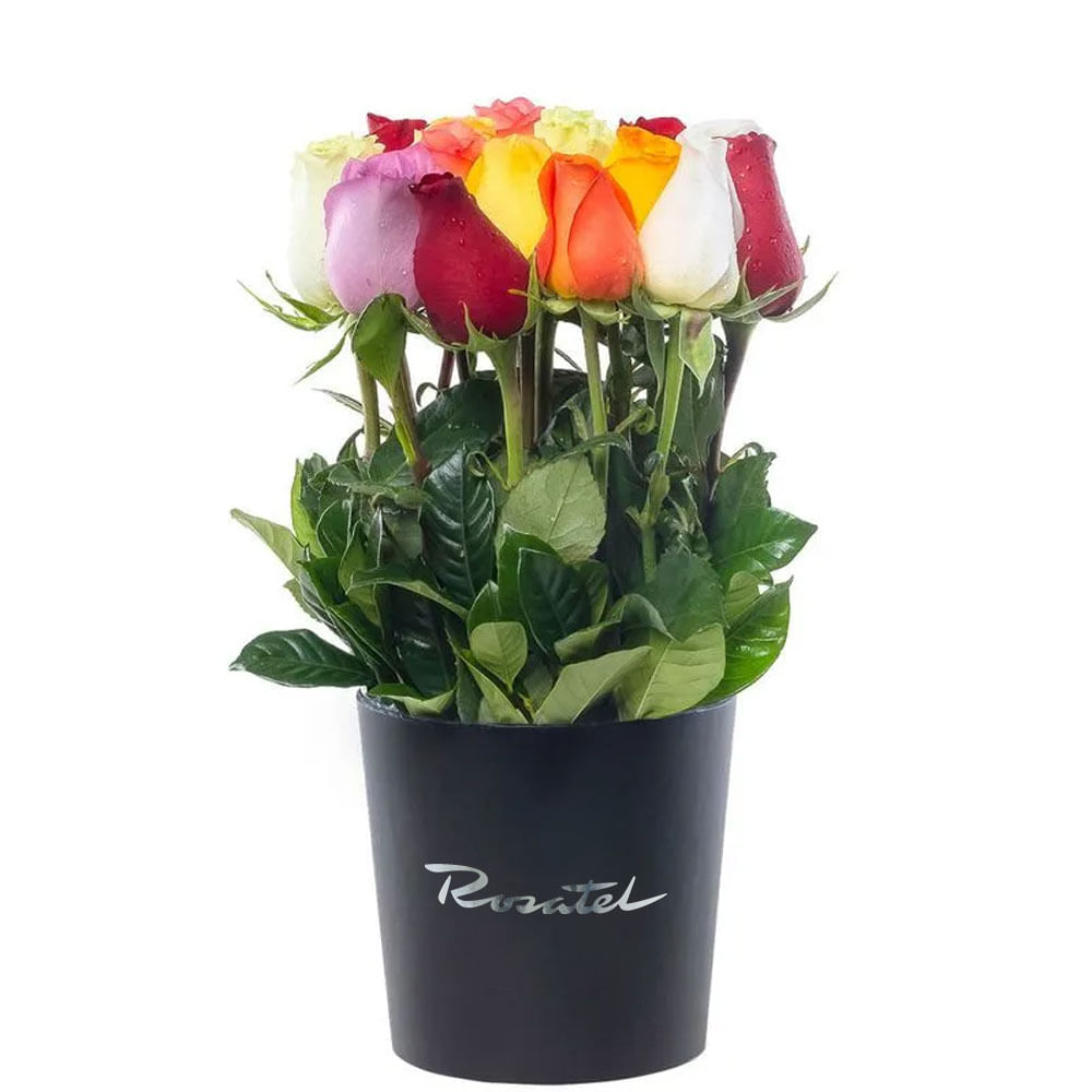 Sombrerera Mediana con 15 Rosas Variadas