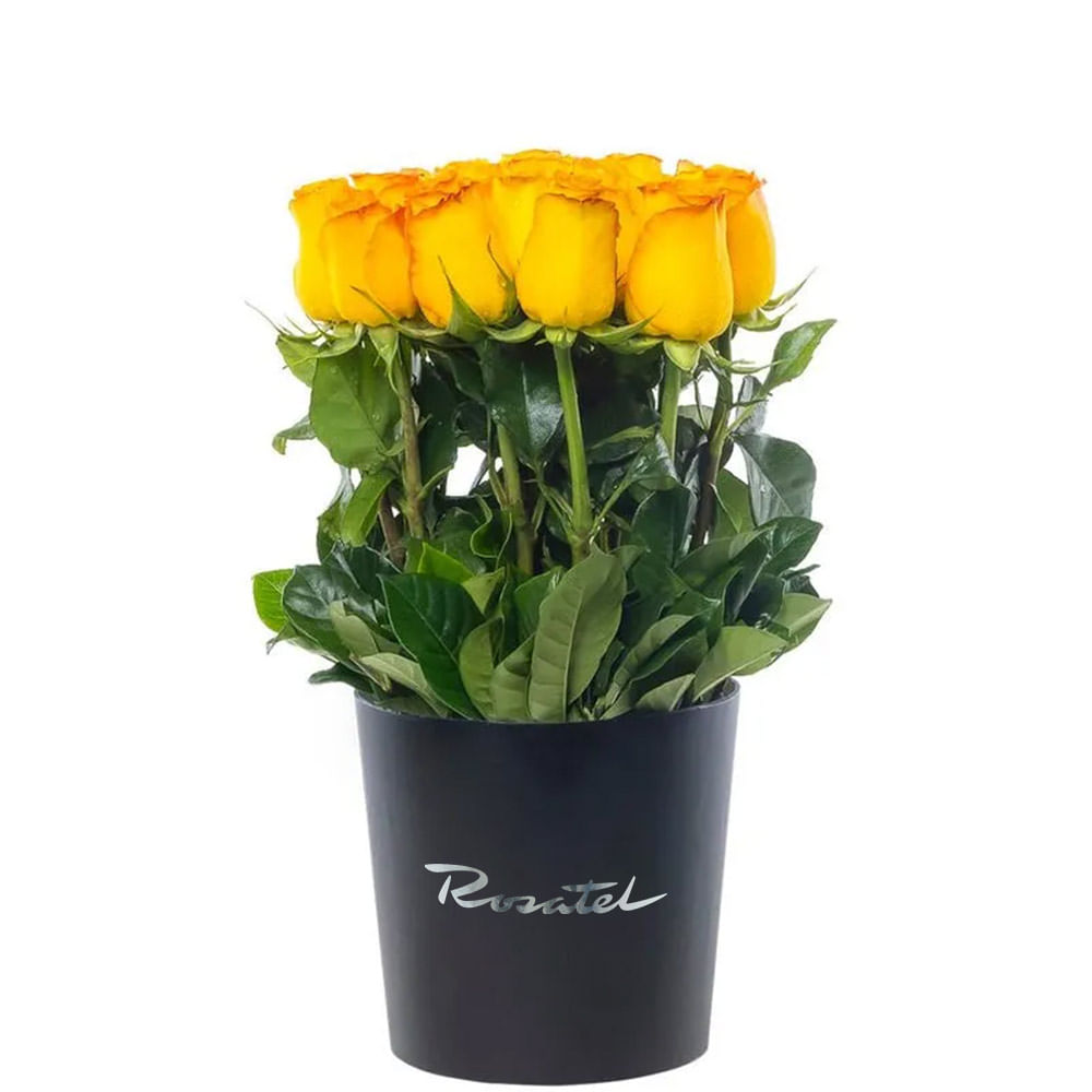 Sombrerera Negra Mediana con 15 Rosas