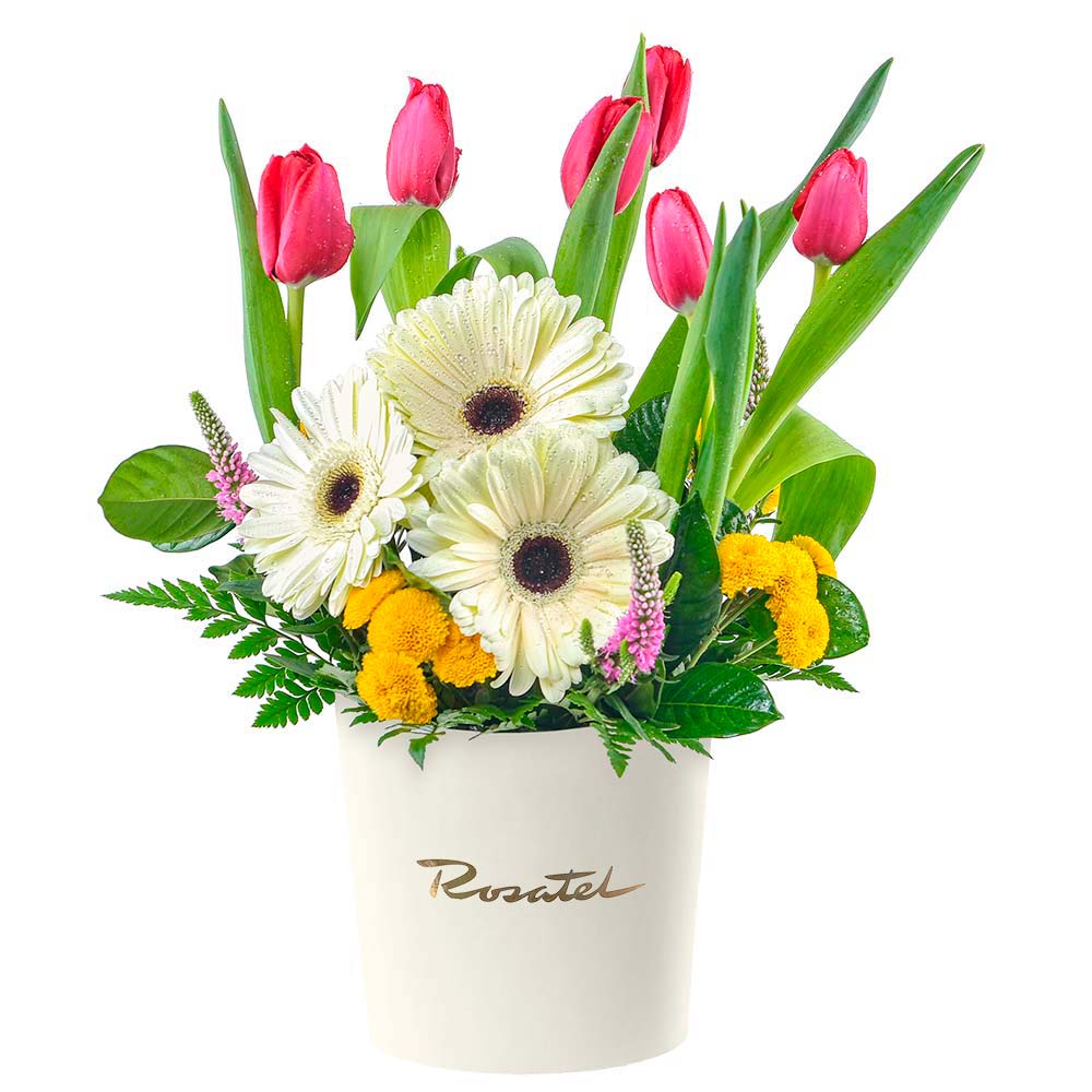 Sombrerera Crema con Tulipanes Rojos y Gerberas