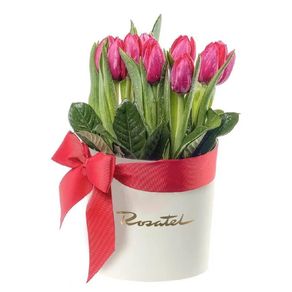 sombrerera-crema-mediana-con-cinta-roja-y-10-tulipanes-rojos