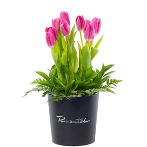 sombrerera-negra-mediana-con-10-tulipanes-fucsias-y-follajes