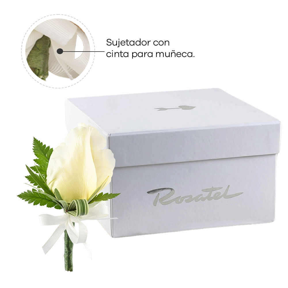 Corsage Mini Rosa Crema