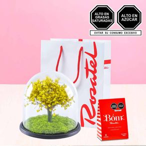 arbol-de-la-vida-amarillo-y-caja-bag-bom-rosatel
