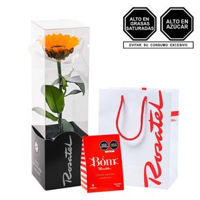 girasol-preservado-en-caja-y-caja-bag-bom-Rosatel