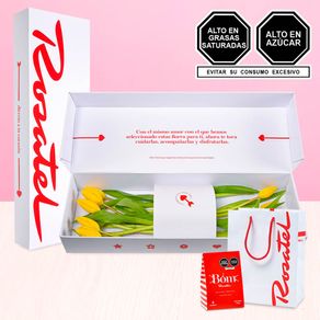 caja-con-9-tulipanes-amarillos-y-caja-bag-bom-rosatel