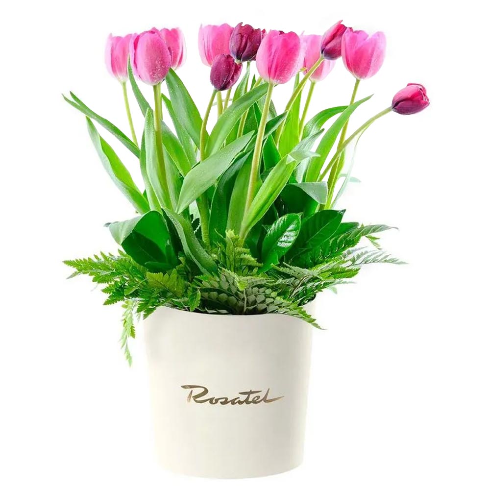 Sombrerera Crema Grande con Tulipanes Variados