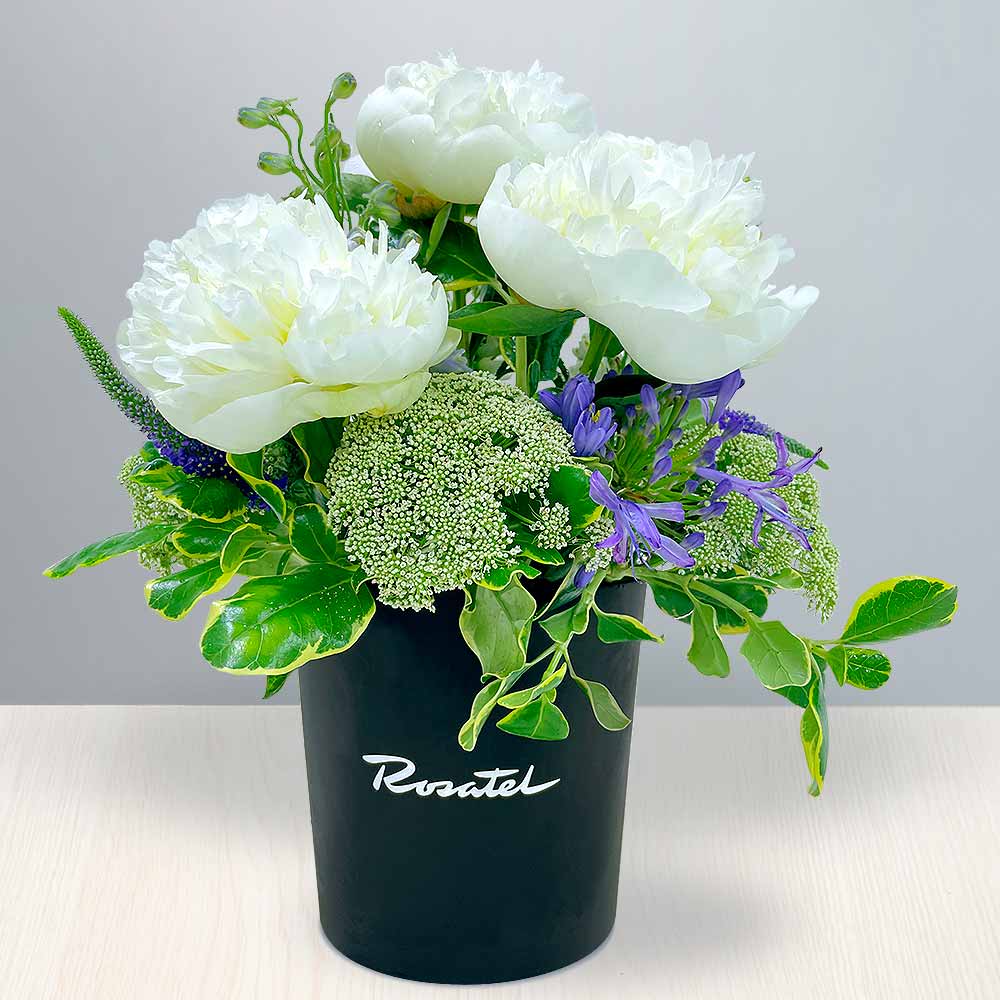 Arreglo de Peonías Blancas de Encanto