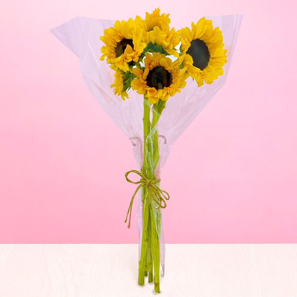 Paquete de Girasoles