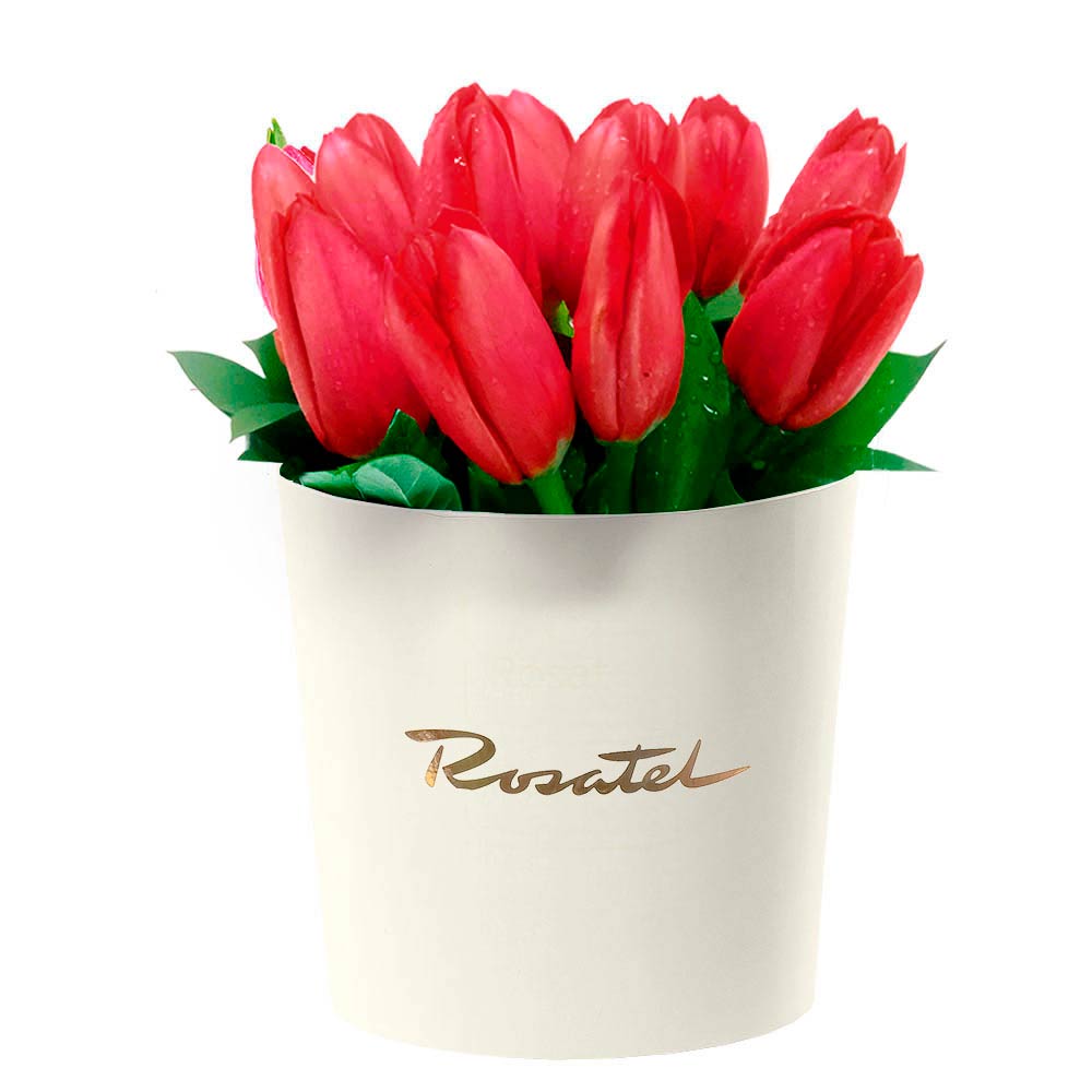 Sombrerera Crema Mediana con 12 Tulipanes