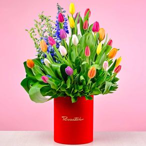 arreglo-brianna-rosatel