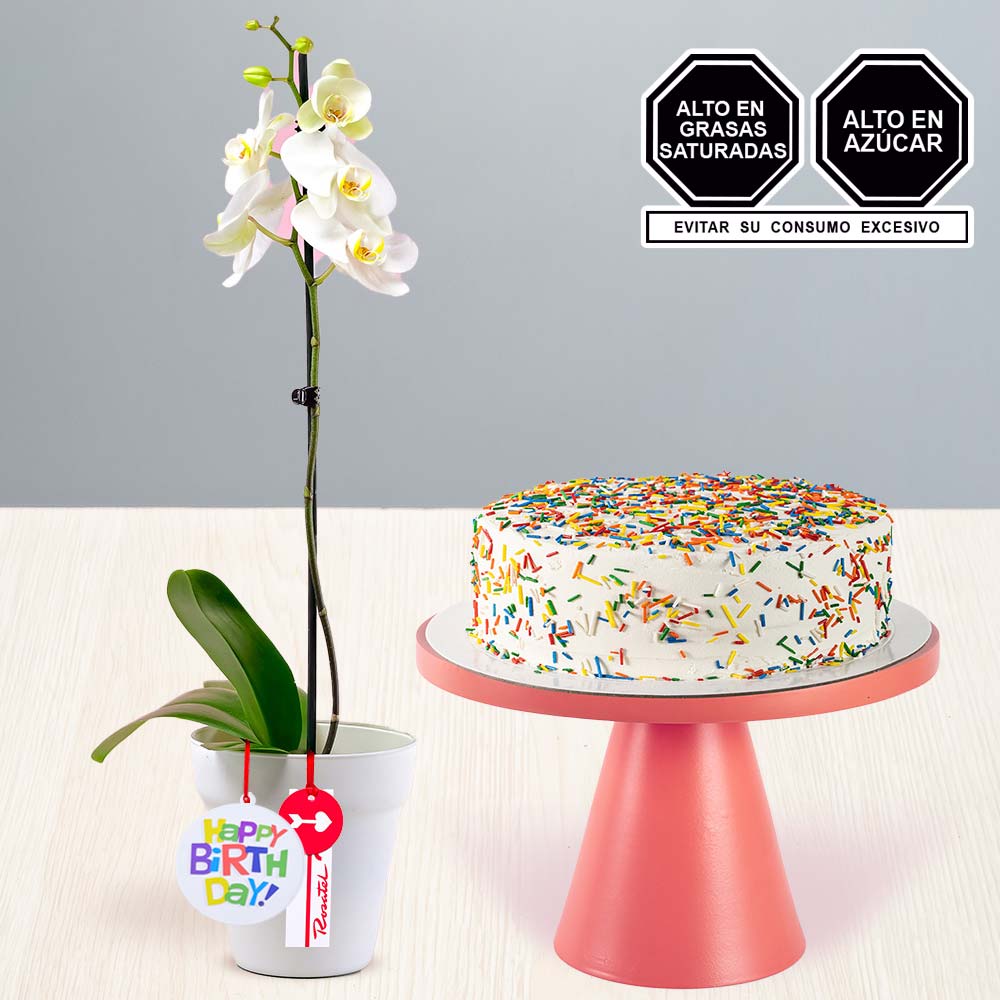 Planta de Orquídea y Torta de Cumpleaños