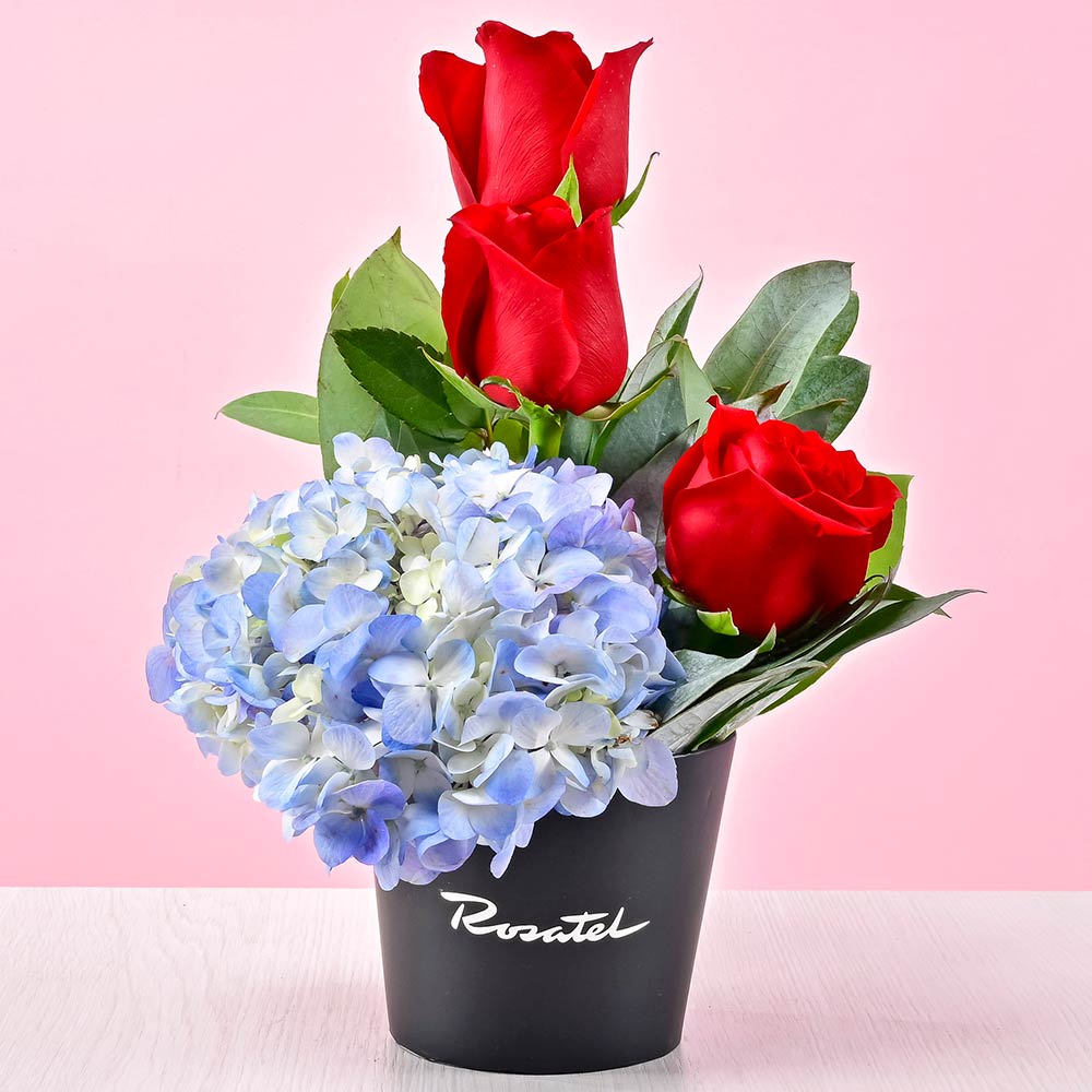 Mini Arreglo de Rosas Rojas y Hortensia