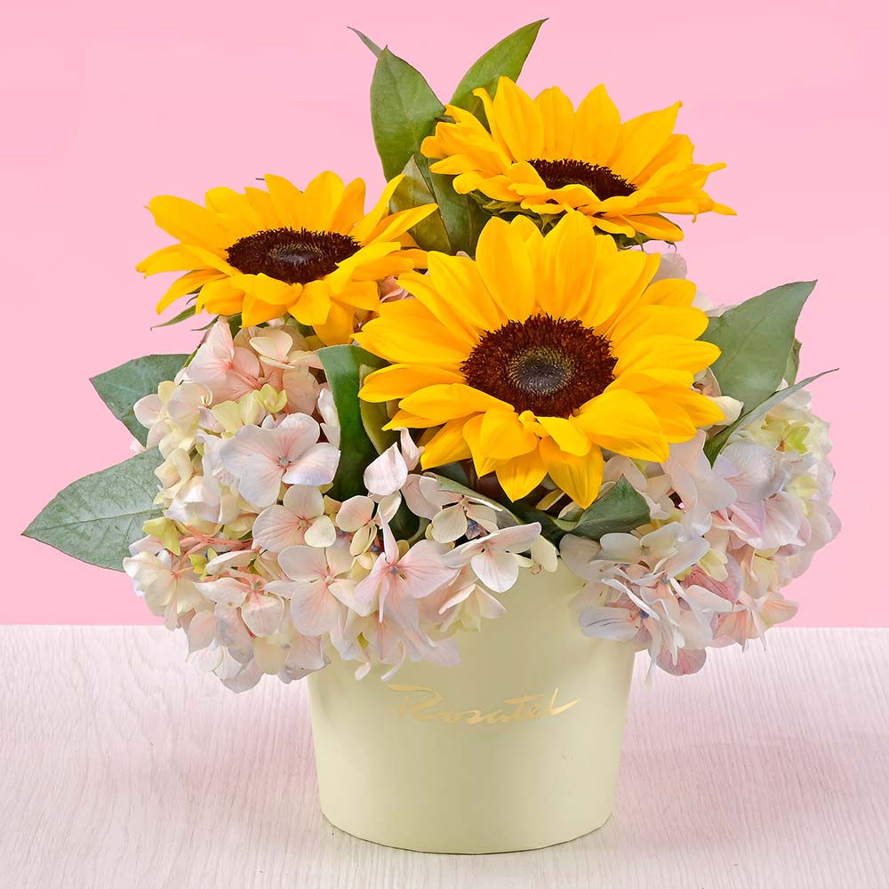 Mini Arreglo de Girasoles y Hortensia