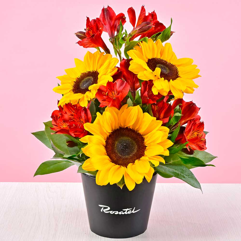 Mini Arreglo de Girasoles y Astromelias