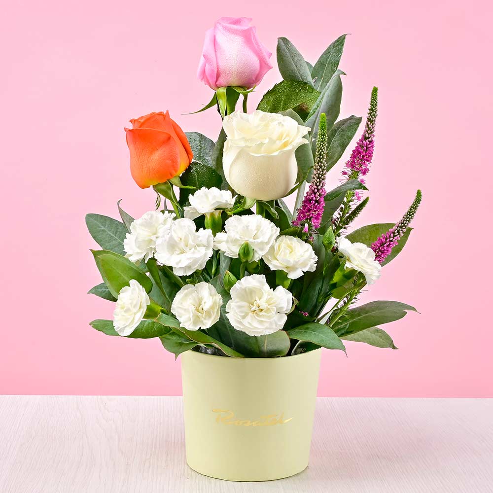 Mini Arreglo Rosas Variadas y Clavelinos