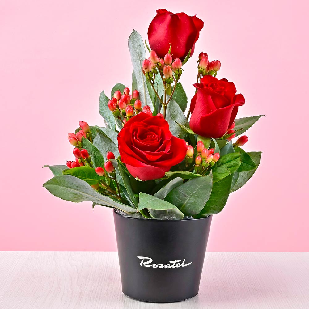 Mini Arreglo de Rosas Rojas