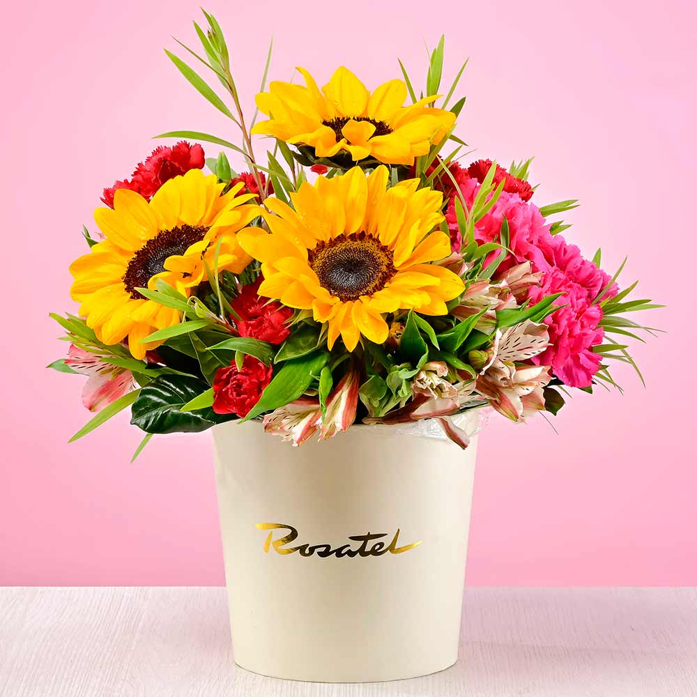 Sombrerera con Girasoles y Claveles