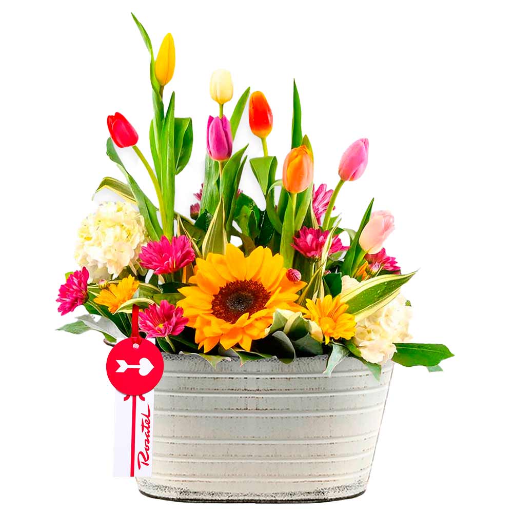 Arreglo Arcoíris Floral