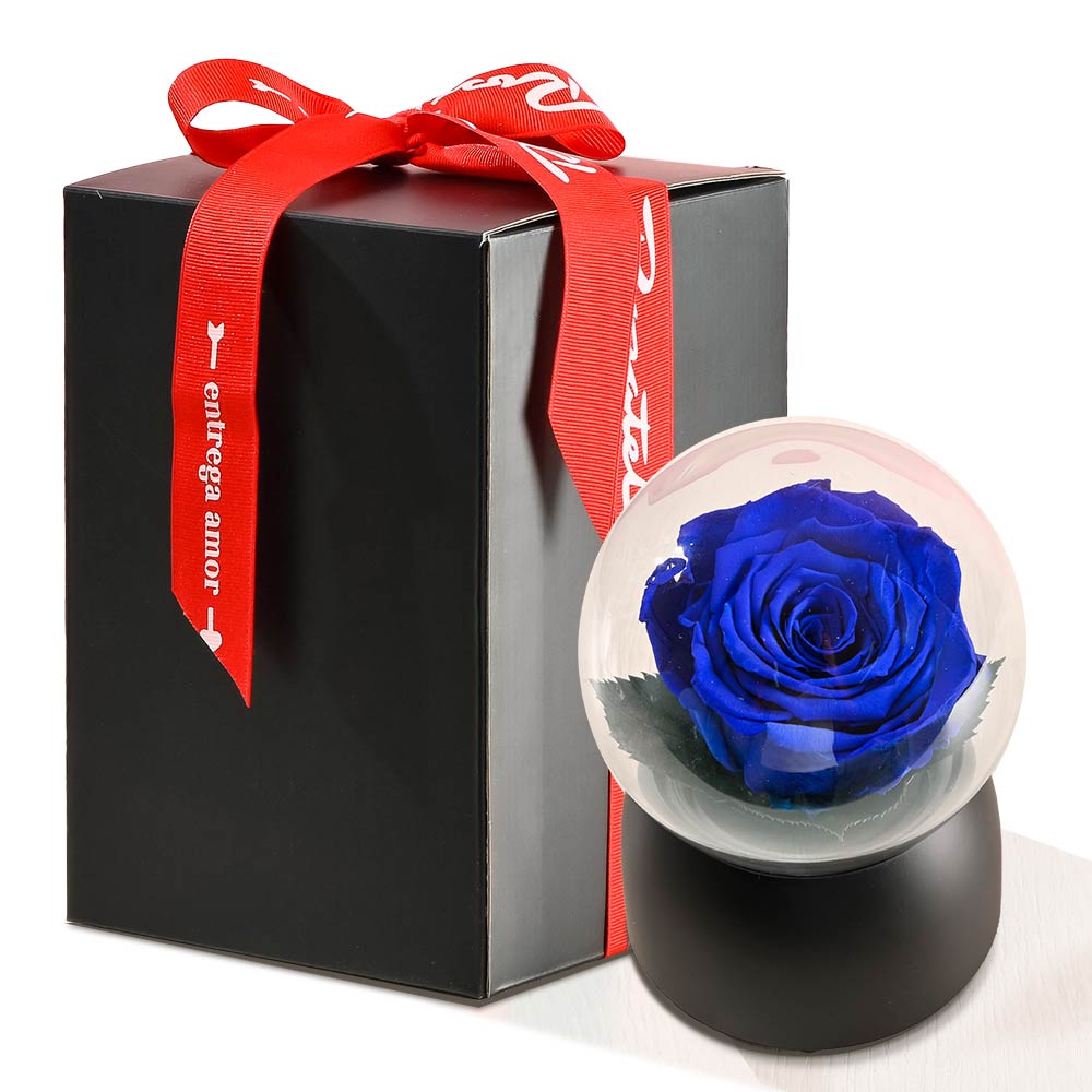 Caja Musical Negra con Rosa Azul Preservada