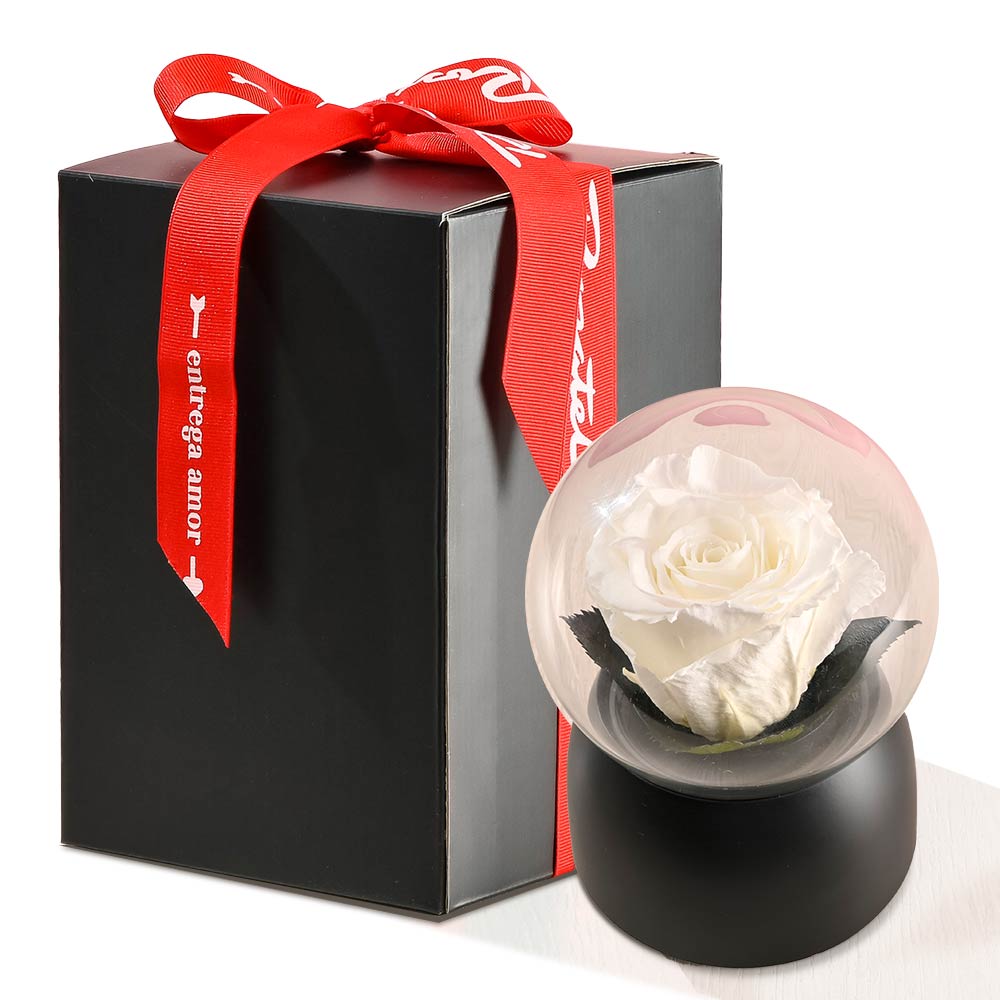 Caja Musical Negra con Rosa Blanca Preservada