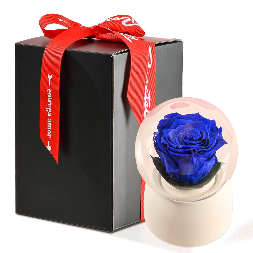 Caja Musical Blanca con Rosa Azul Preservada