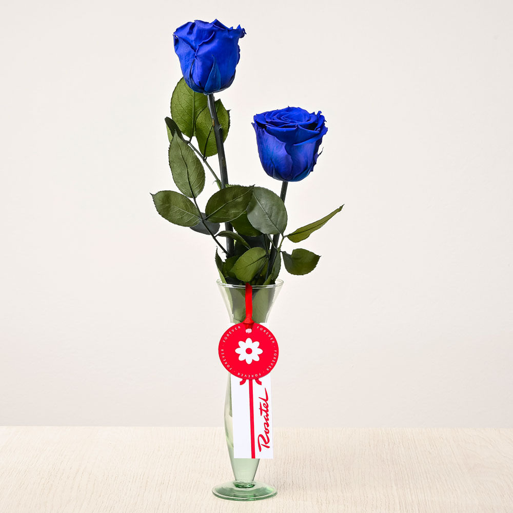 Florero con Rosas Azules Preservadas